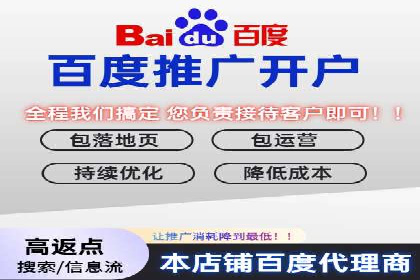 百度竞价优化技巧：成功案例分享